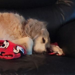 Meet your Posher, Angela